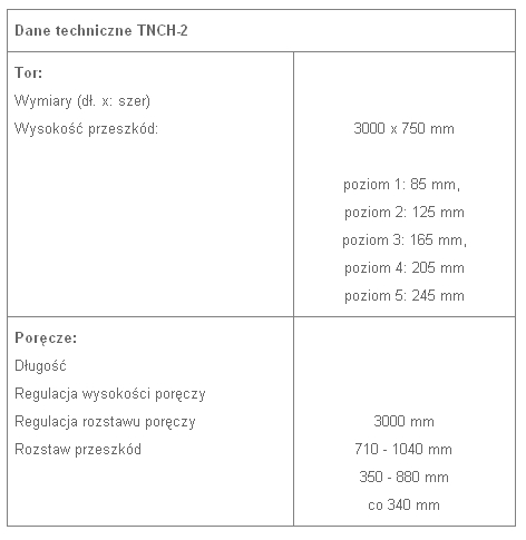 TNCH-2 - Poręcze (tor) do nauki chodzenia tab